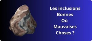 Lire la suite à propos de l’article LES INCLUSIONS