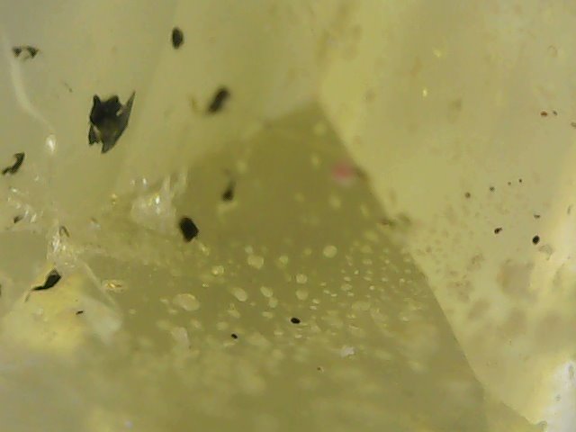 Inclusions dans héliodore naturelle